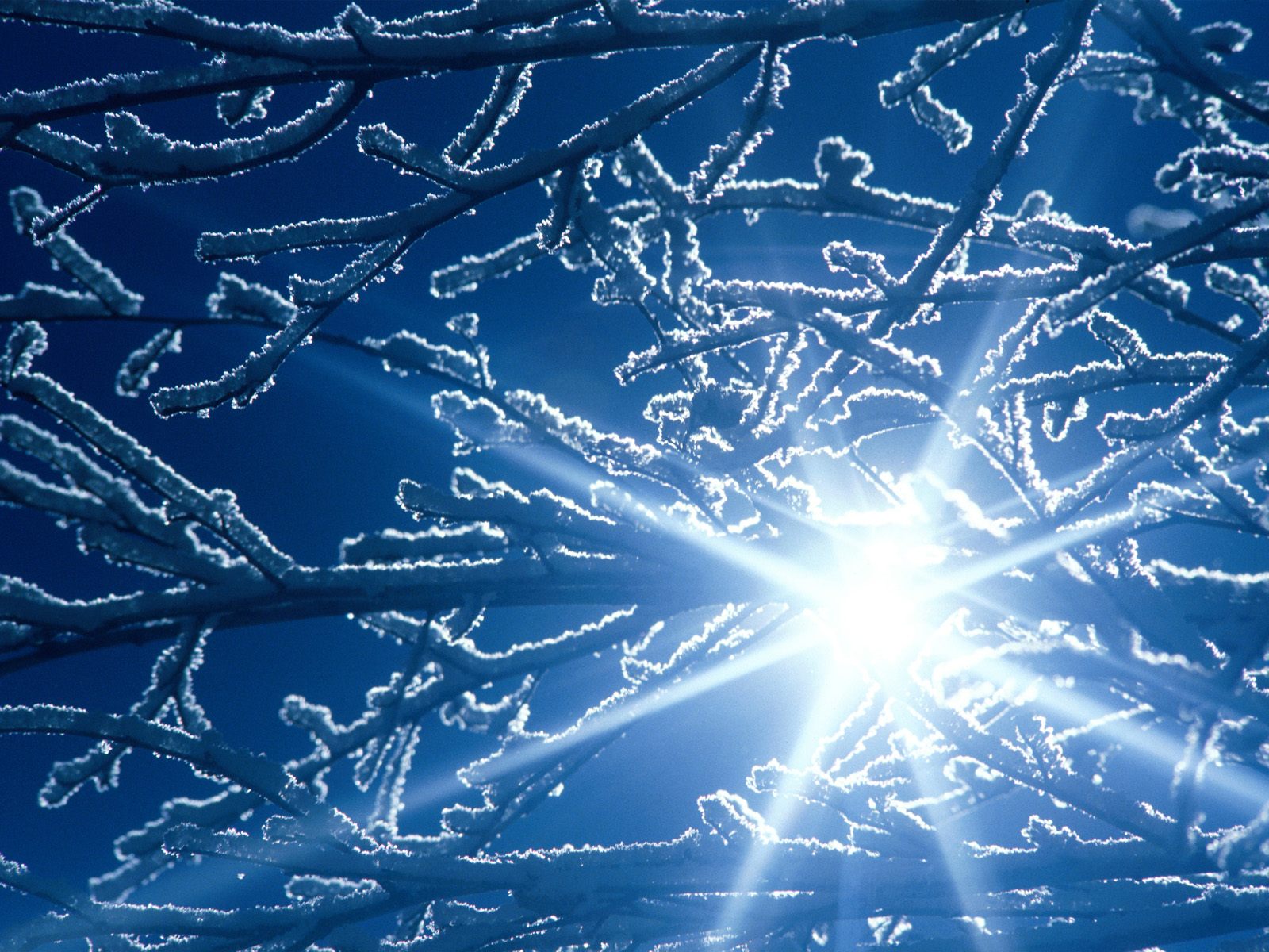 Зимний пейзаж