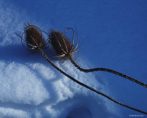Красота на рабочий стол