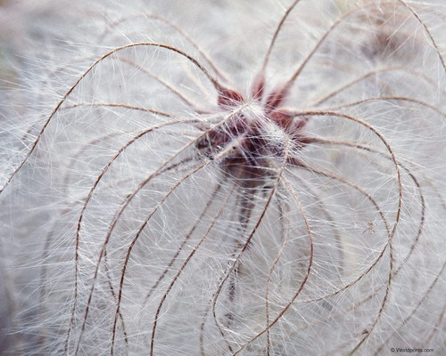 Красота на рабочий стол