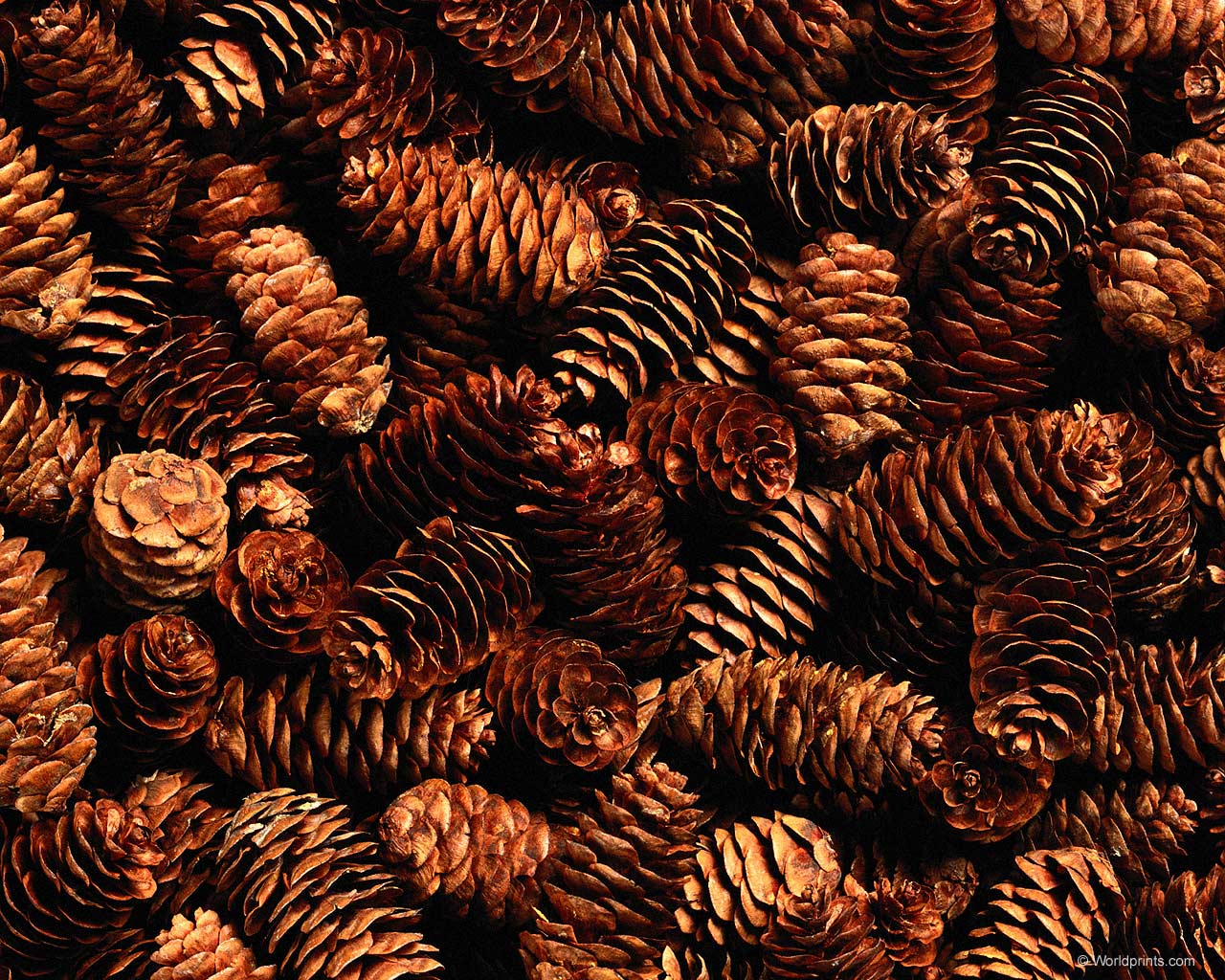 Красота на рабочий стол