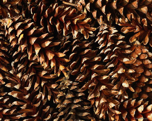 Красота на рабочий стол