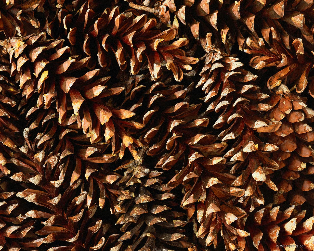 Красота на рабочий стол