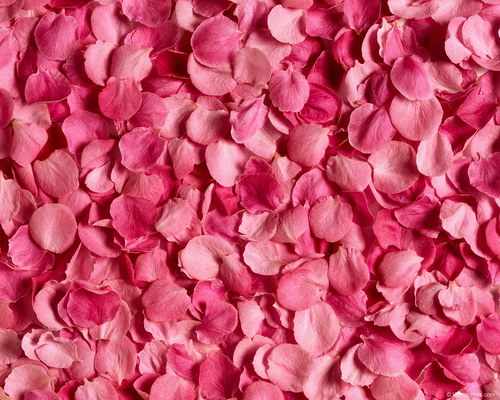 Красота на рабочий стол