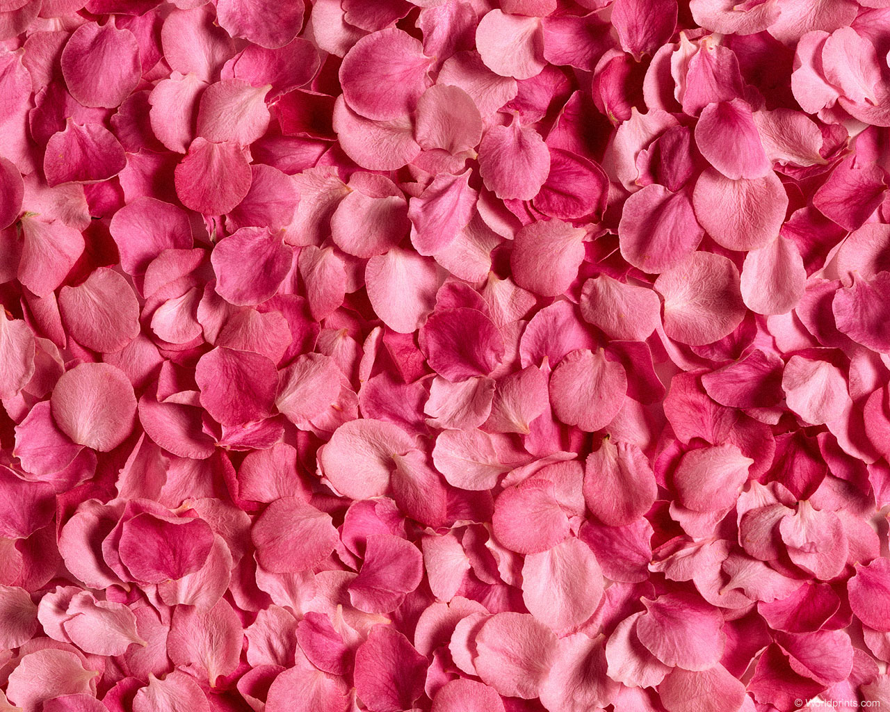 Красота на рабочий стол