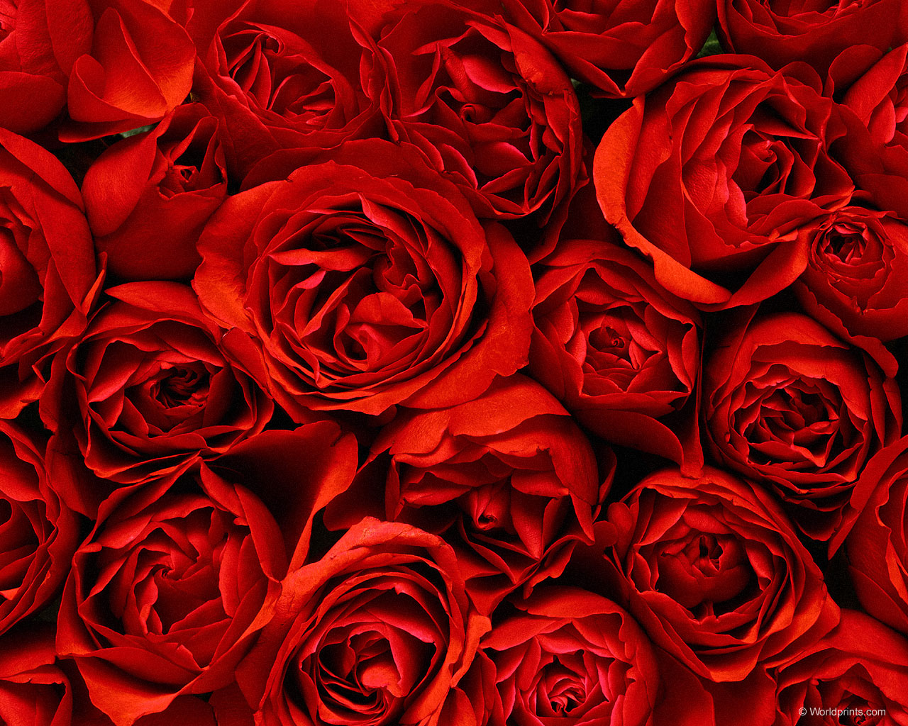 Красота на рабочий стол