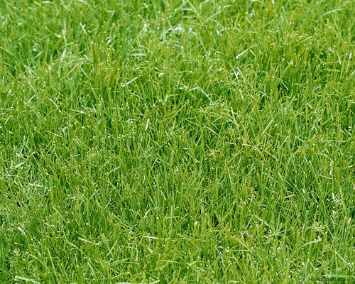 Красота на рабочий стол