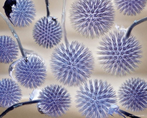 Красота на рабочий стол