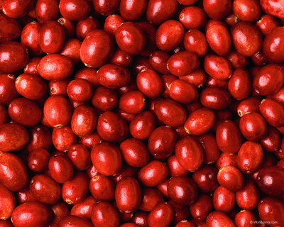 Крупным планом