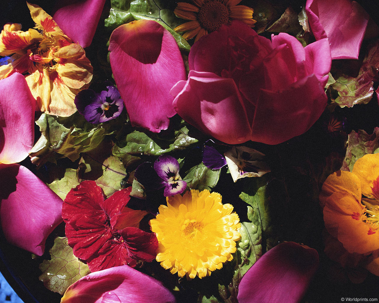 Крупным планом