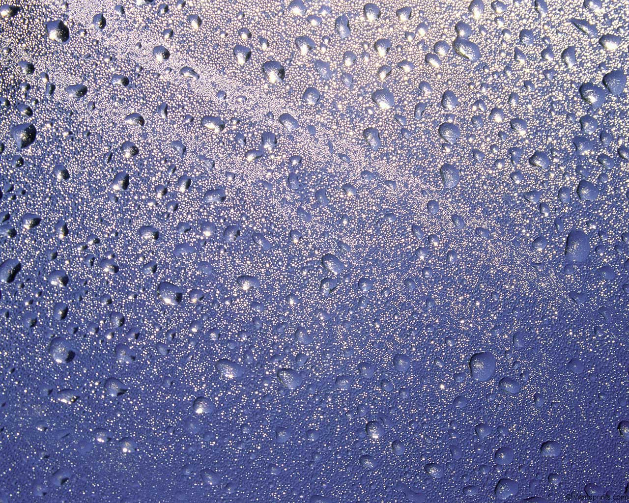 Крупным планом