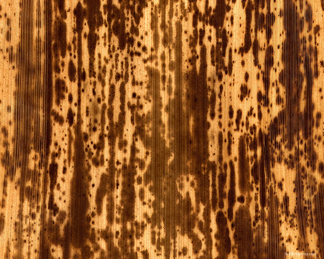 Крупным планом