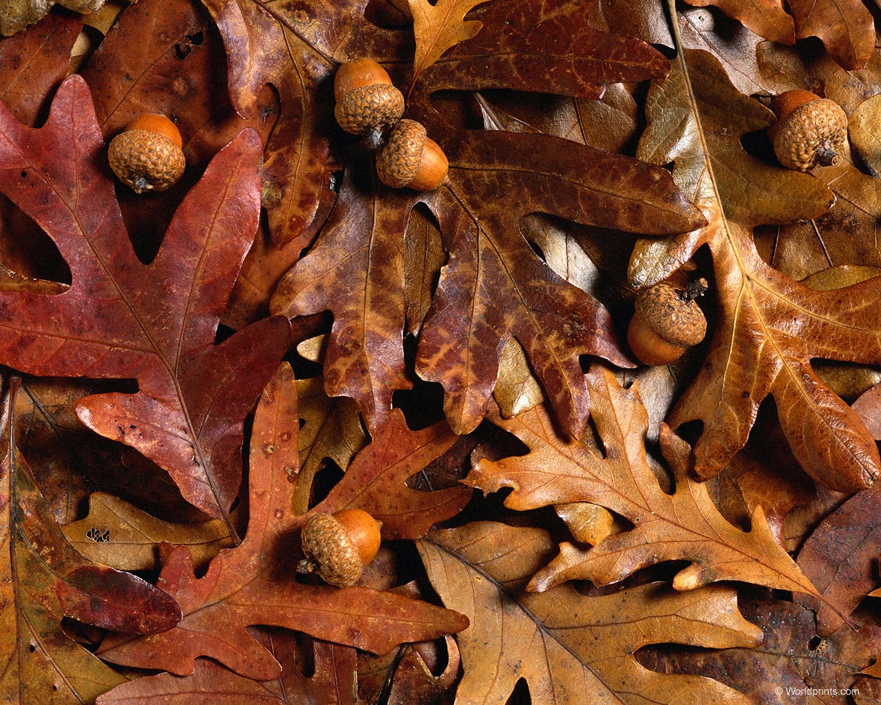 Крупным планом