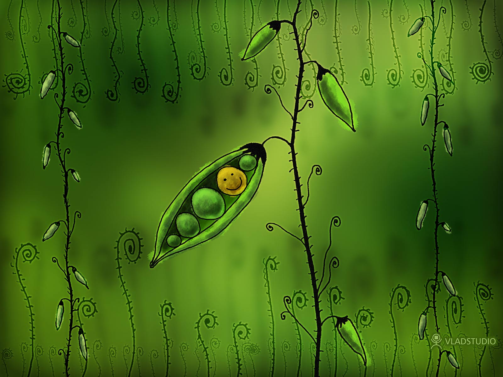 Меняем обои