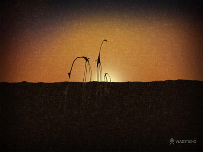 Темные обои