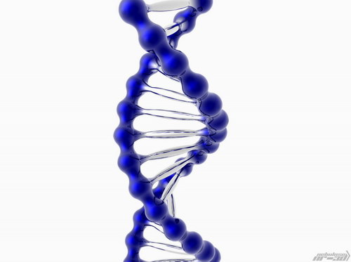 Подборочка обоев