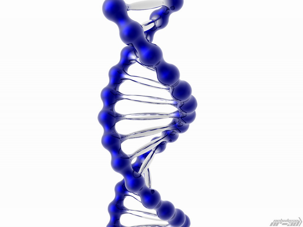 Подборочка обоев