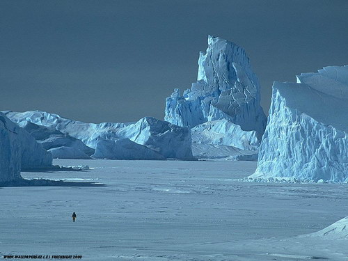 Подборочка обоев