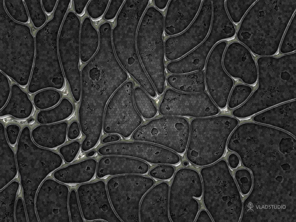 Обои от VLADSTUDIO