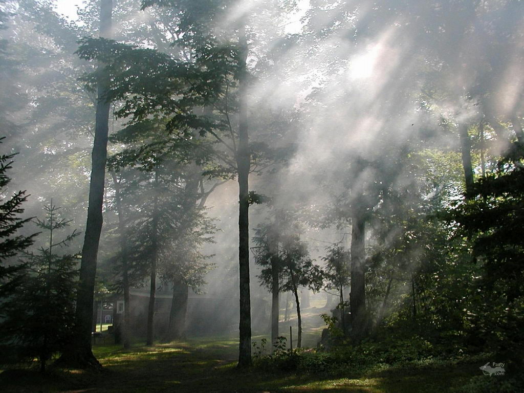 Коллекция весна-лето 2006