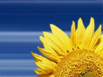 Коллекция весна-лето 2006