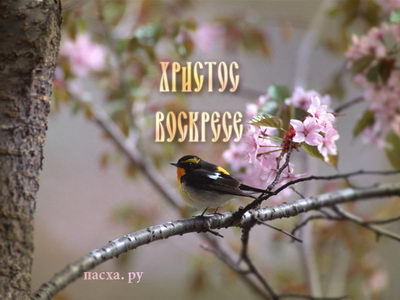 Пасхальные обои