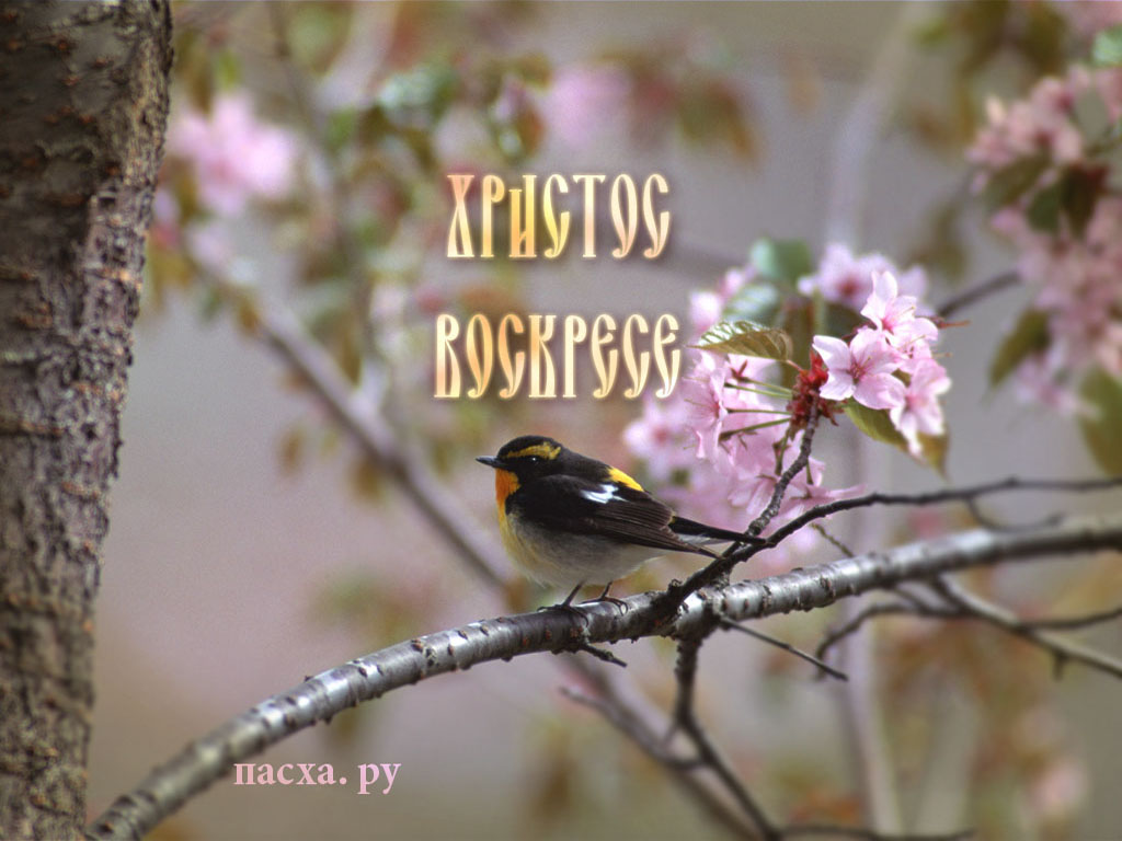 Пасхальные обои