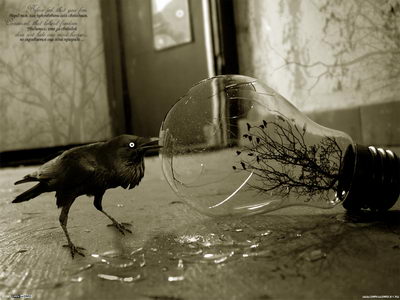 Красивые обои