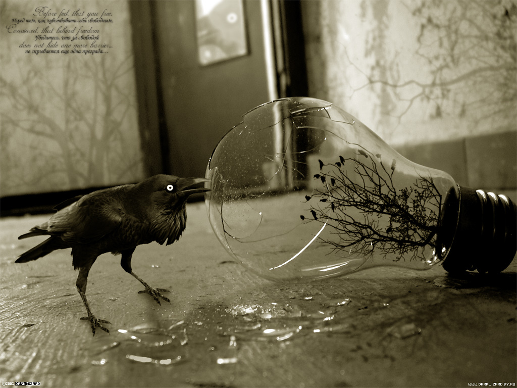 Красивые обои