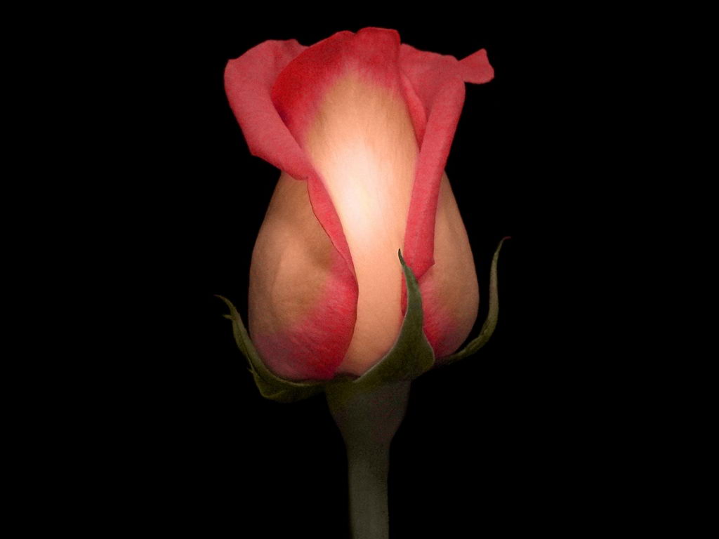 Серия красивых обоев