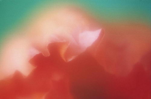 Цветы на рабочий стол