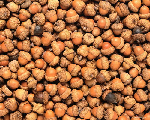 Природа на рабочий стол