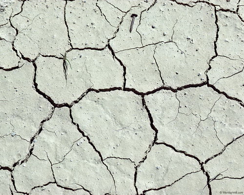 Природа на рабочий стол