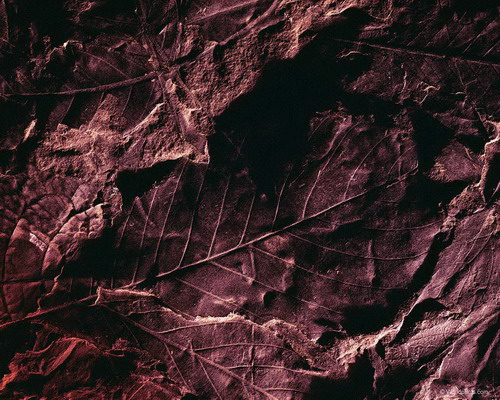 Природа на рабочий стол