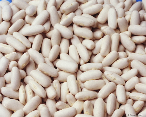 Природа на рабочий стол