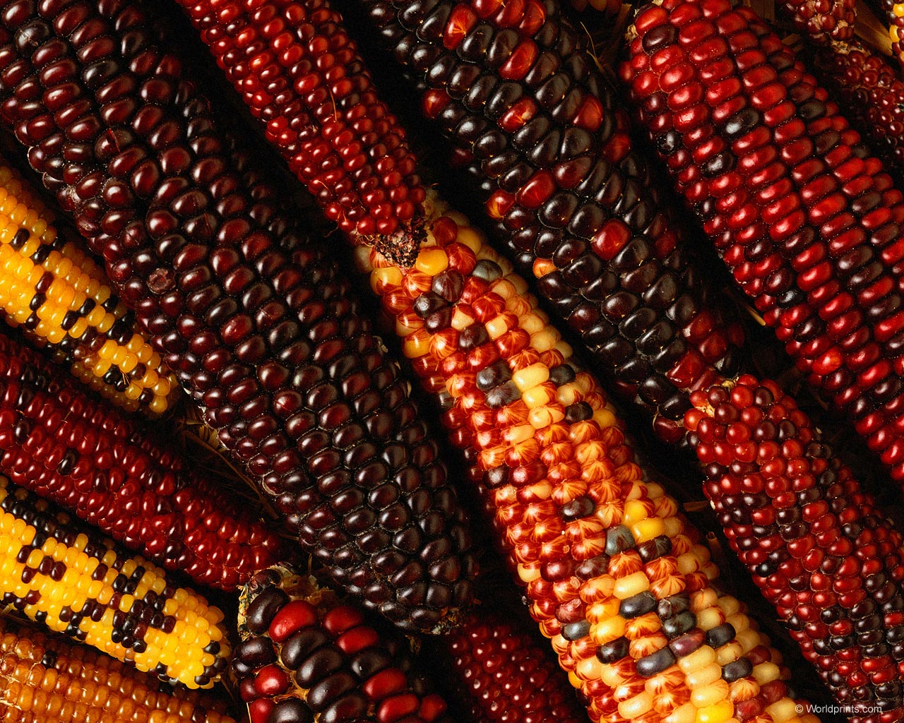 Природа на рабочий стол