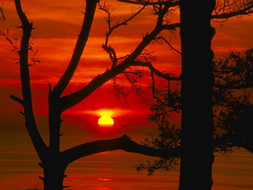 Небесная тема