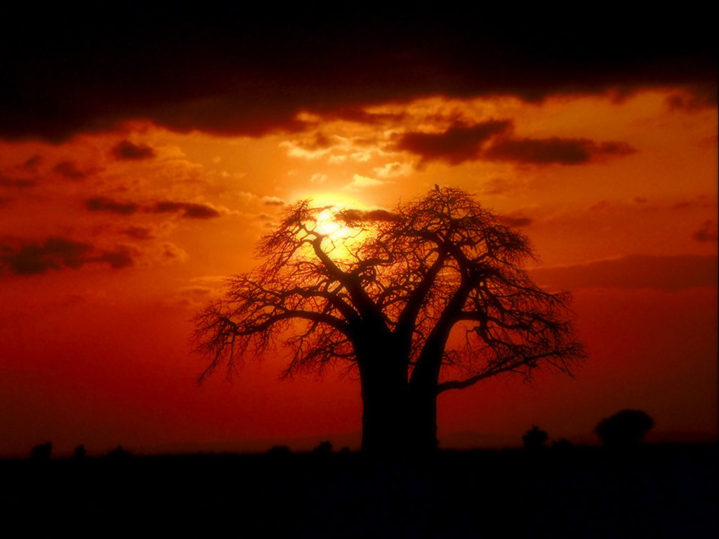 Небесная тема