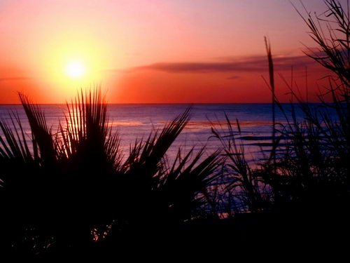 Небесная тема