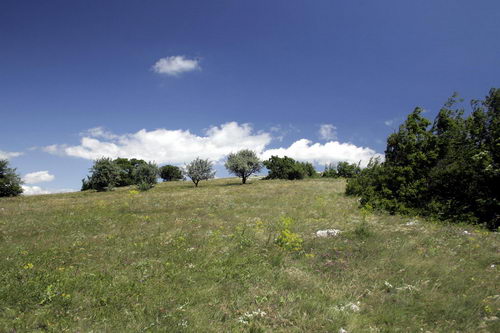 Природа южного берега Крыма