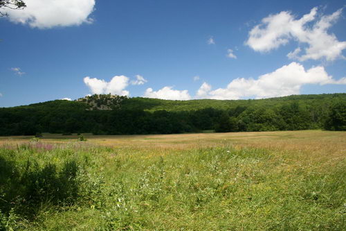 Природа южного берега Крыма