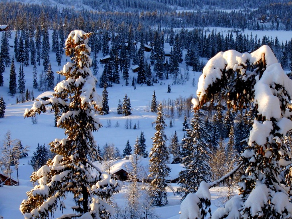 Зима красавица