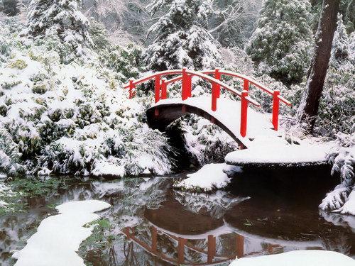 Зима красавица