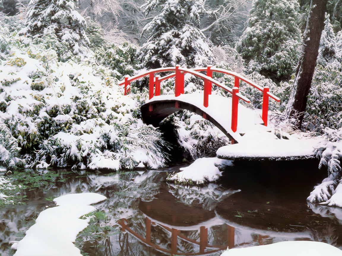 Зима красавица