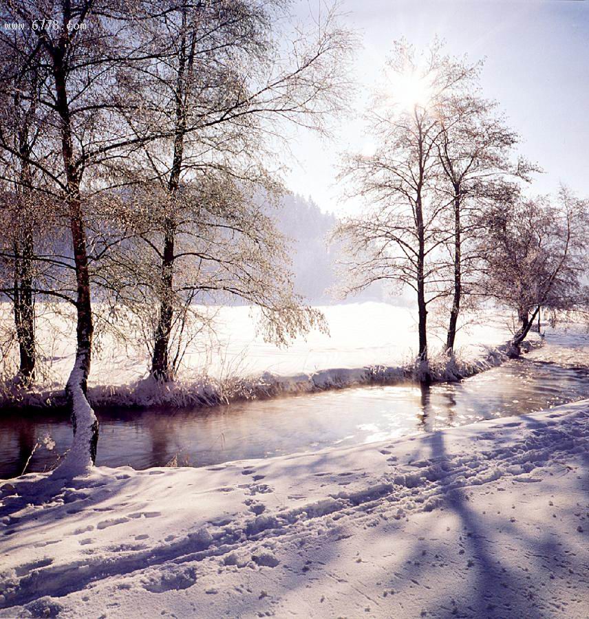 Зима красавица