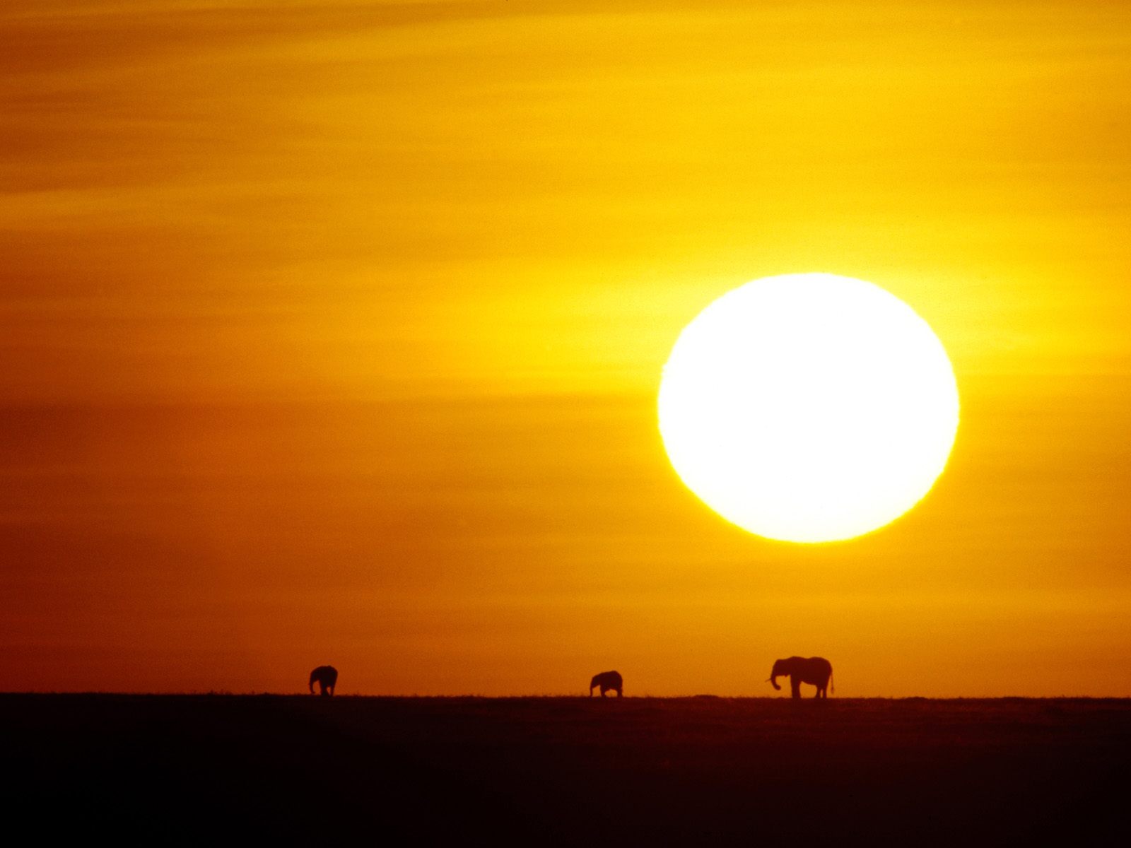 Красивые пейзажи на рабочий стол