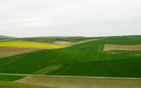 Легкие рисованые обои