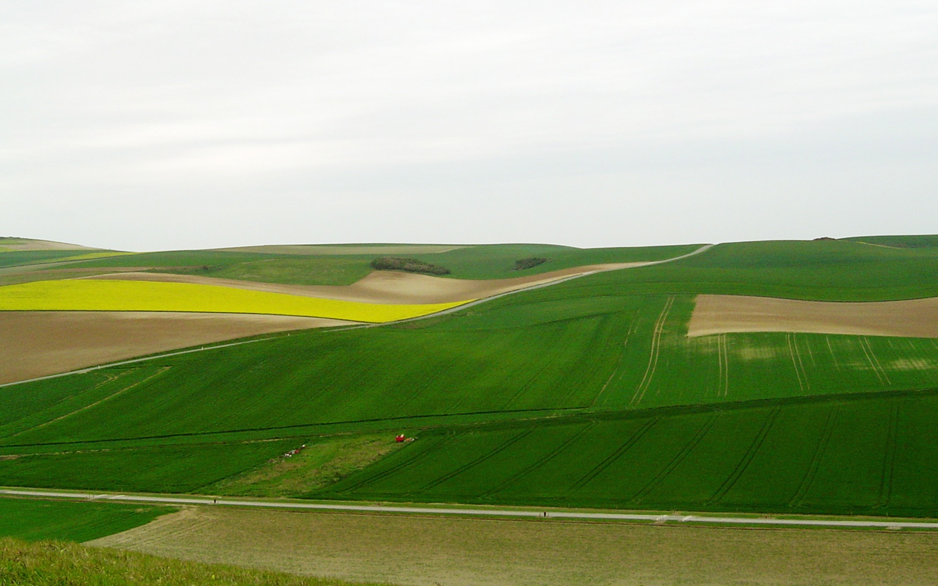 Легкие рисованые обои