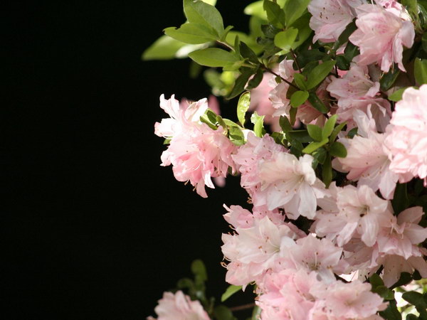 Коллекция лето - осень