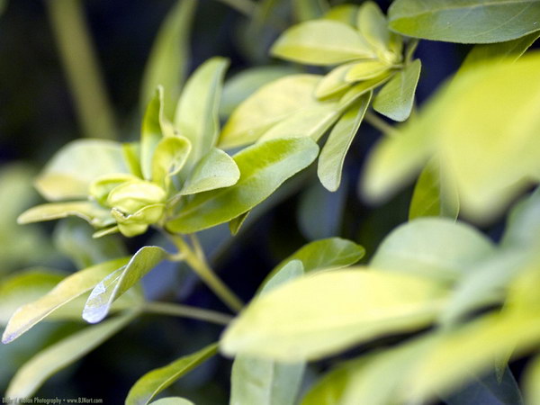 Коллекция лето - осень