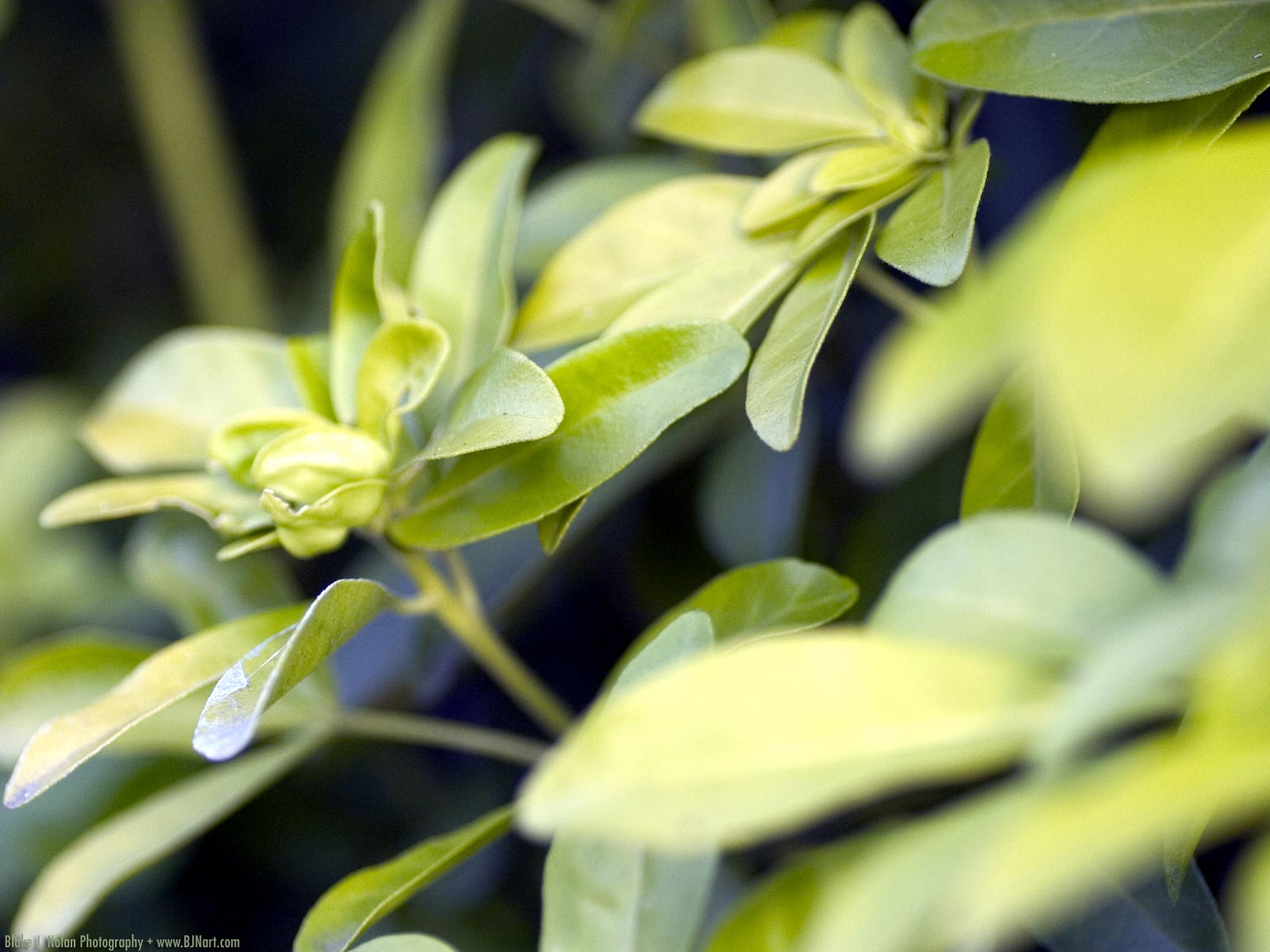 Коллекция лето - осень